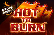 Hot to Burn -kolikkopelin pikkukuva